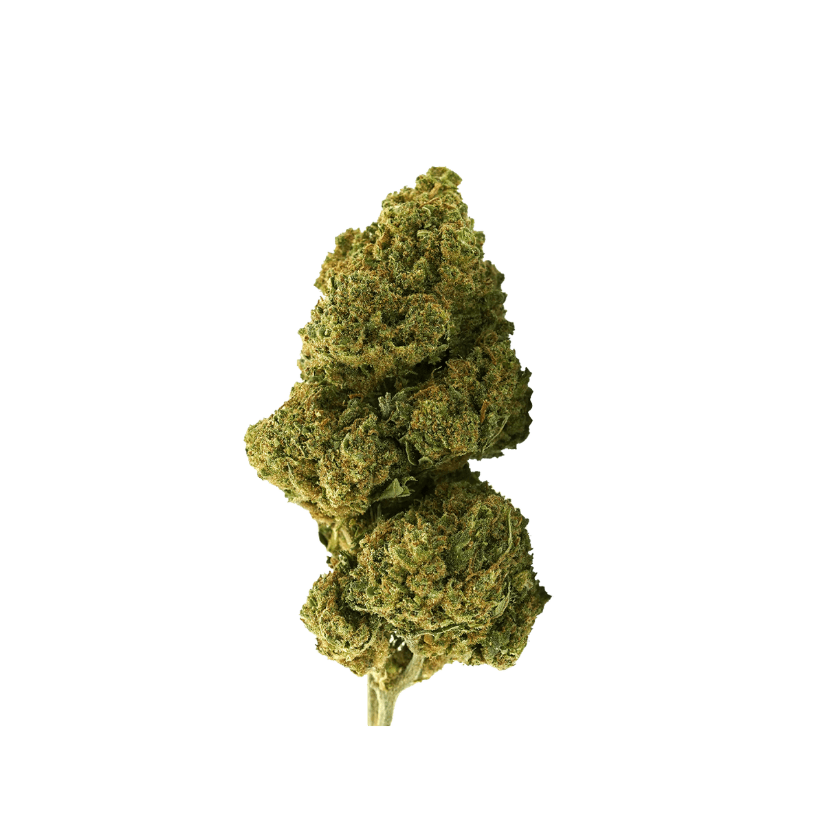 Girl Scout Cookies - Fleur CBD | Tealerlab