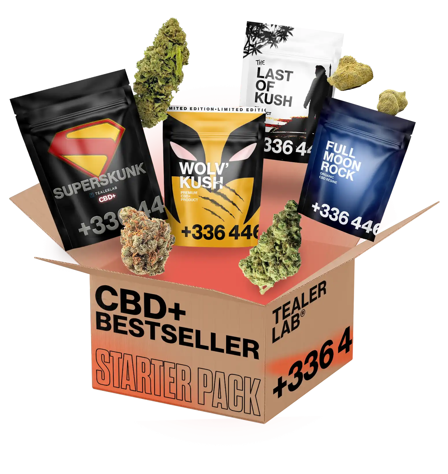 CBD+ Bestseller pack