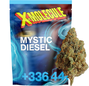Mystic Diesel 10HC 🐈‍⬛