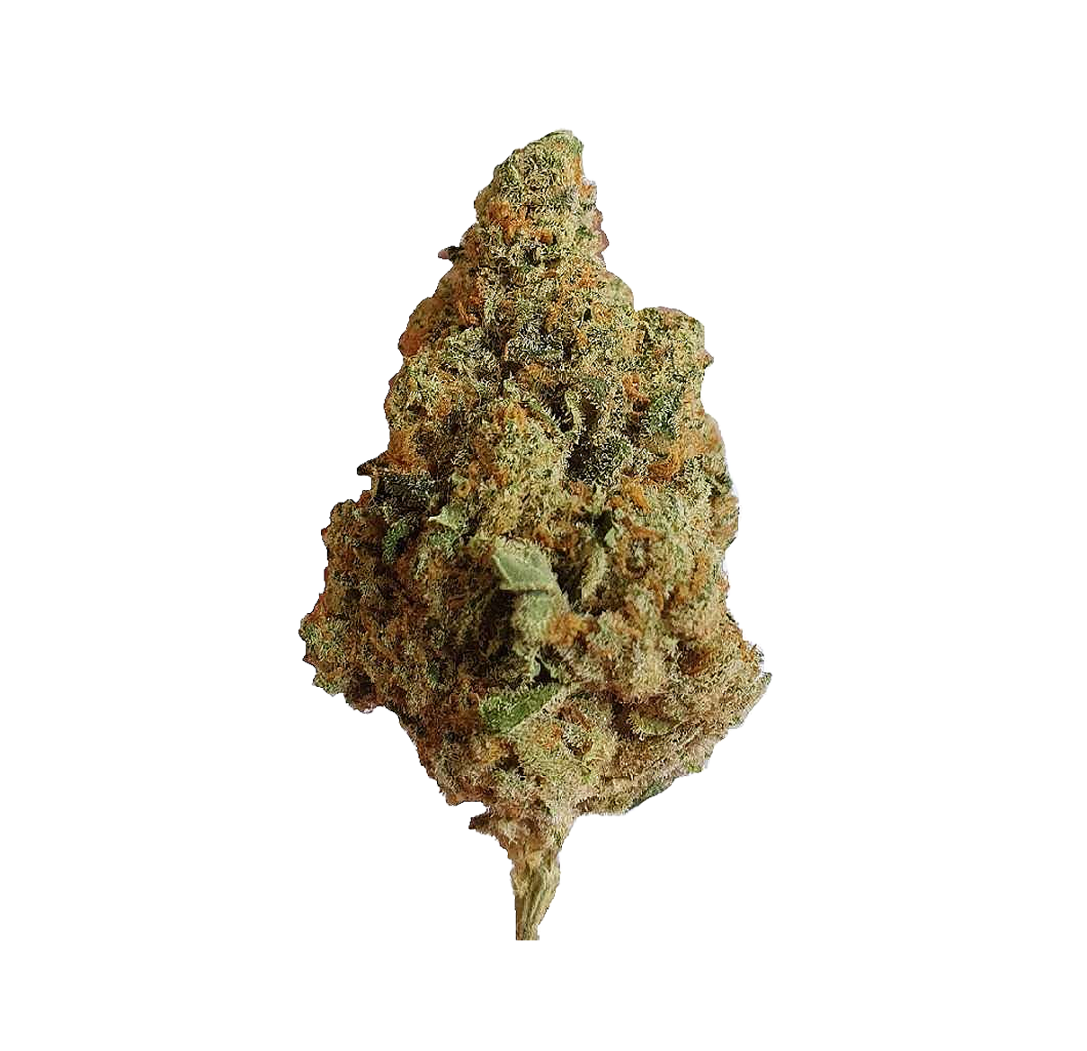 Mystic Diesel 10HC 🐈‍⬛