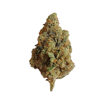 Mystic Diesel 10HC 🐈‍⬛
