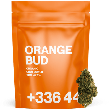Orange Bud - CBD Blüten