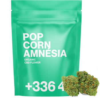Popcorn-Amnesia – Blüten-CBD