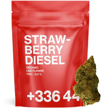 Strawberry Diesel - Fleur CBD | Tealerlab