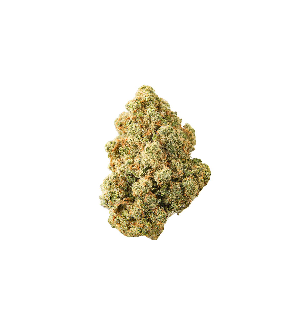 Jurassic Kush - CBD+