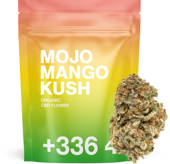 Mojo Mango Kush - CBD Blüten 🥭