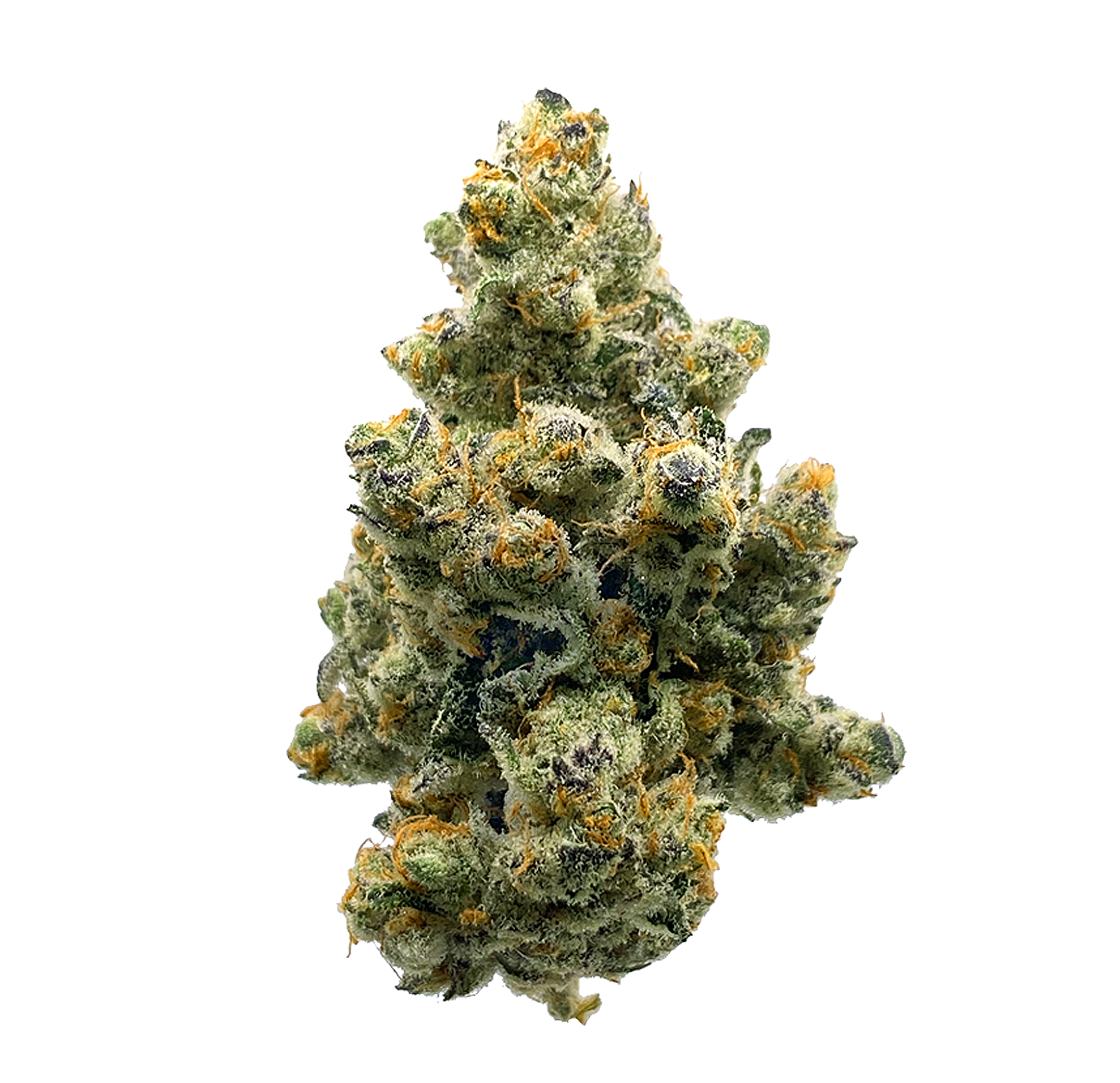 Papaya Nights - Flower CBD 🍬
