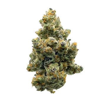 Papaya-Nächte - Blume CBD 🍬