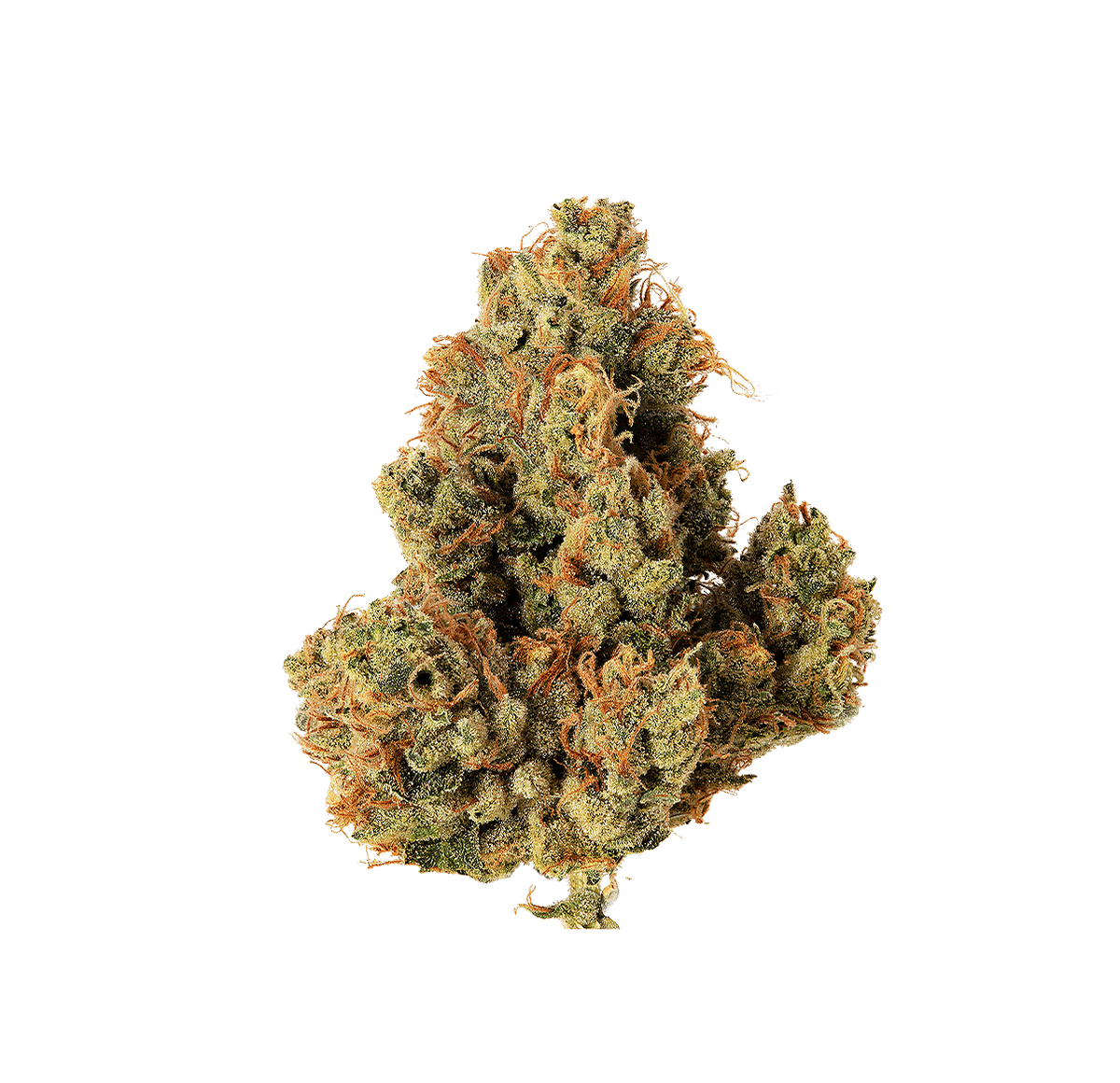 Tealer Kush - Fleur CBD | Tealerlab