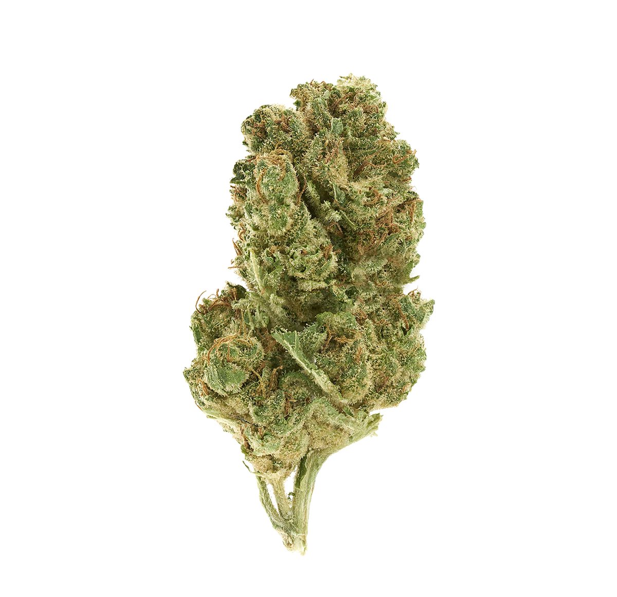 Summer Haze - Flower CBD🇫🇷