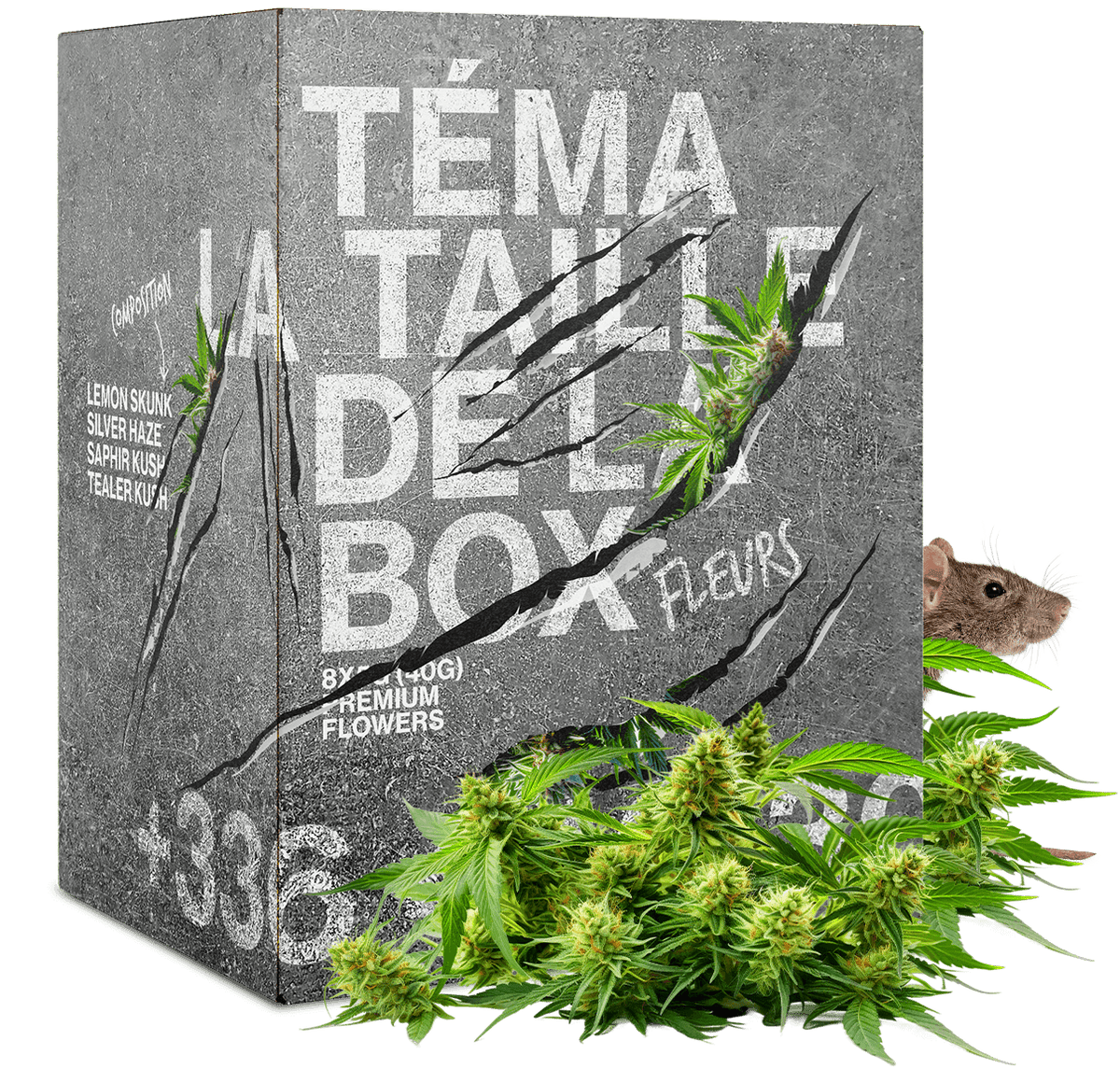 Kiste Ratte 20G BLÜTEN CBD 🐭