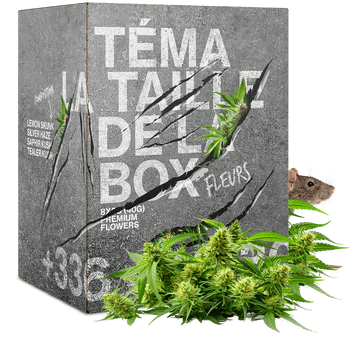 Kiste Ratte 20G BLÜTEN CBD 🐭
