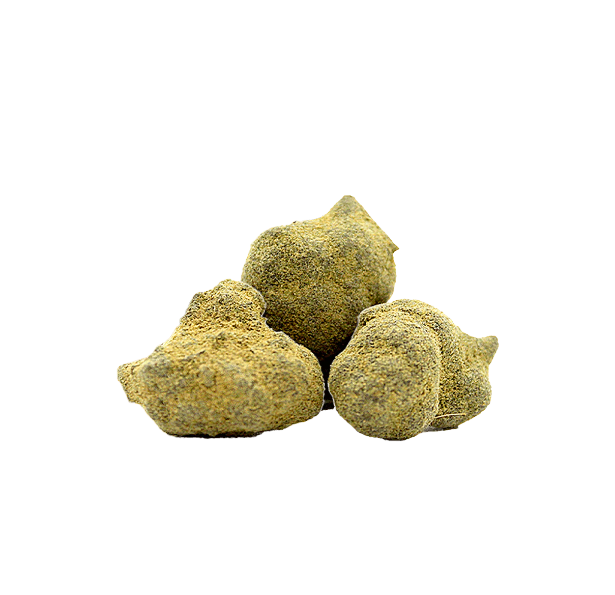 Berlina Rocks - Extraction 10HC 🌕