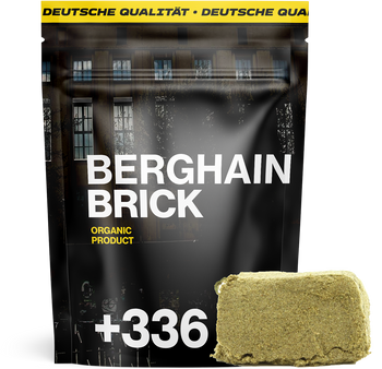 Berghain Bricks - Hash 10HC 🏛