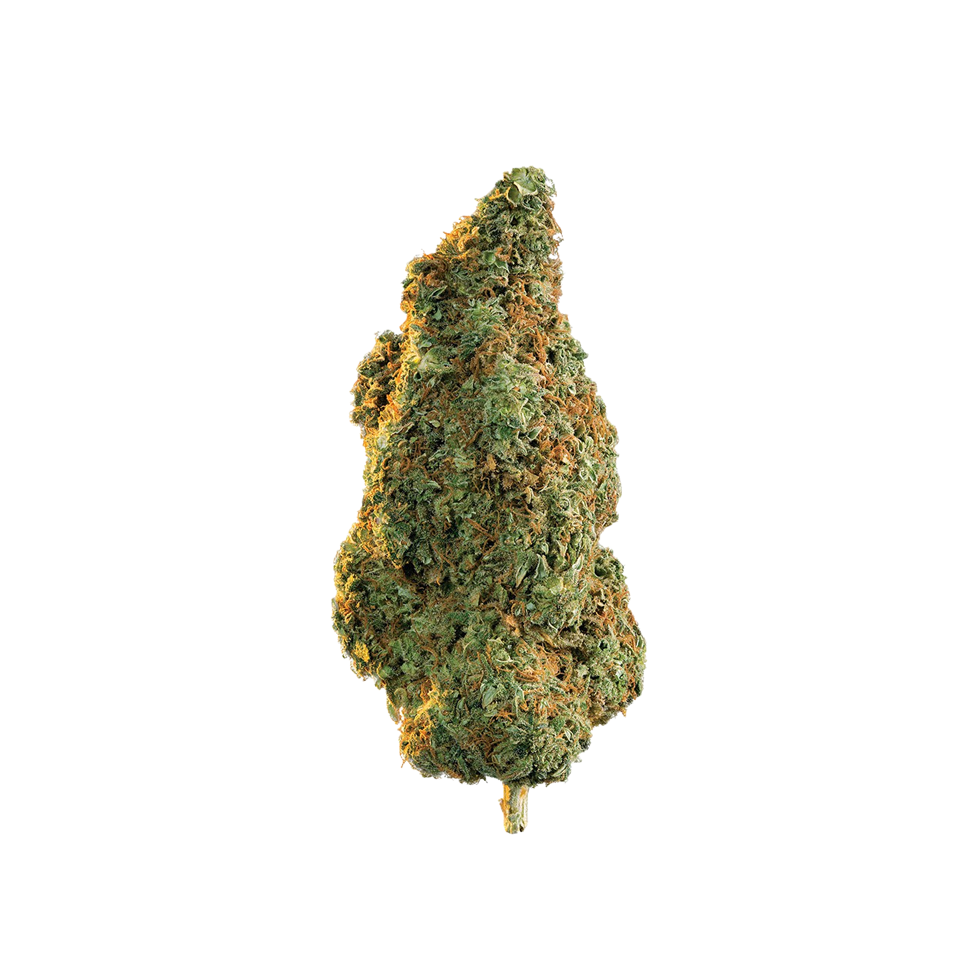 Martian Kush - CBD+