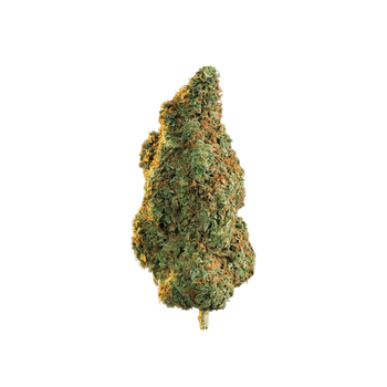Martian Kush - CBD+