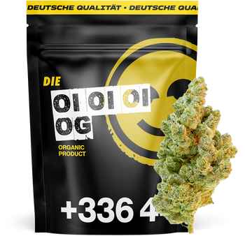 OI OI OI OG - Flower 10HC 💀