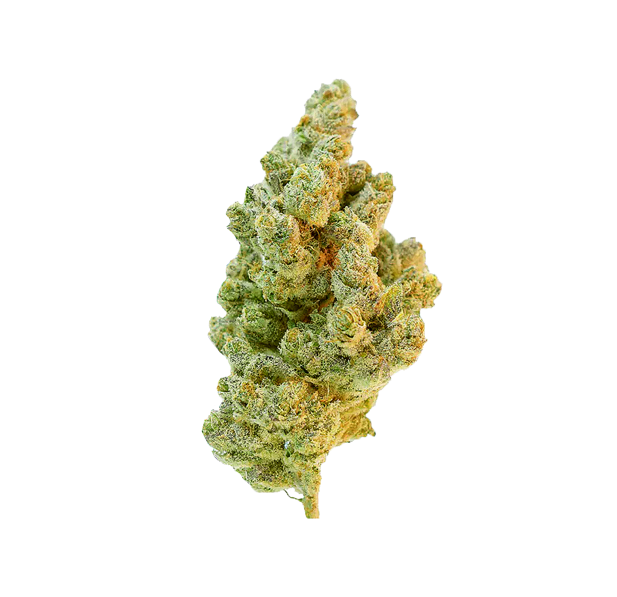 OI OI OI OG - Flower 10HC 💀