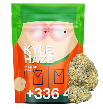Kyle Haze - CBD+