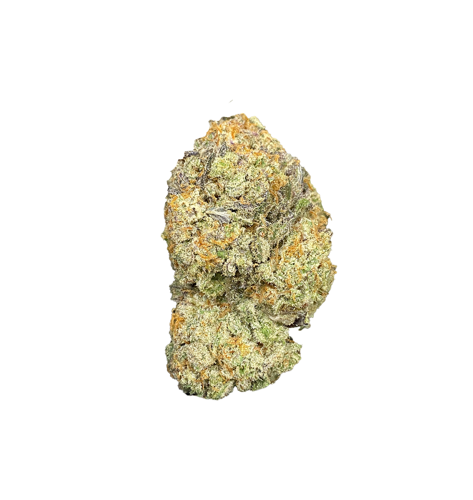 Kyle Haze - CBD+