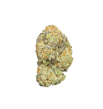 Kyle Haze - CBD+