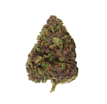 Apple Jack - Blume THC+