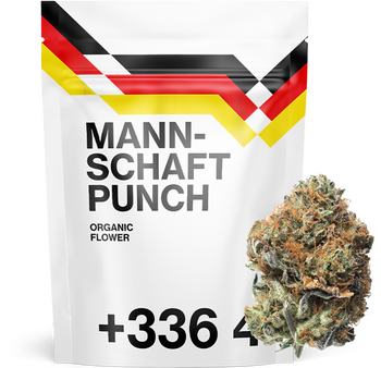 ⁠MANNSCHAFT PUNCH - Flower 10HC ⚽️