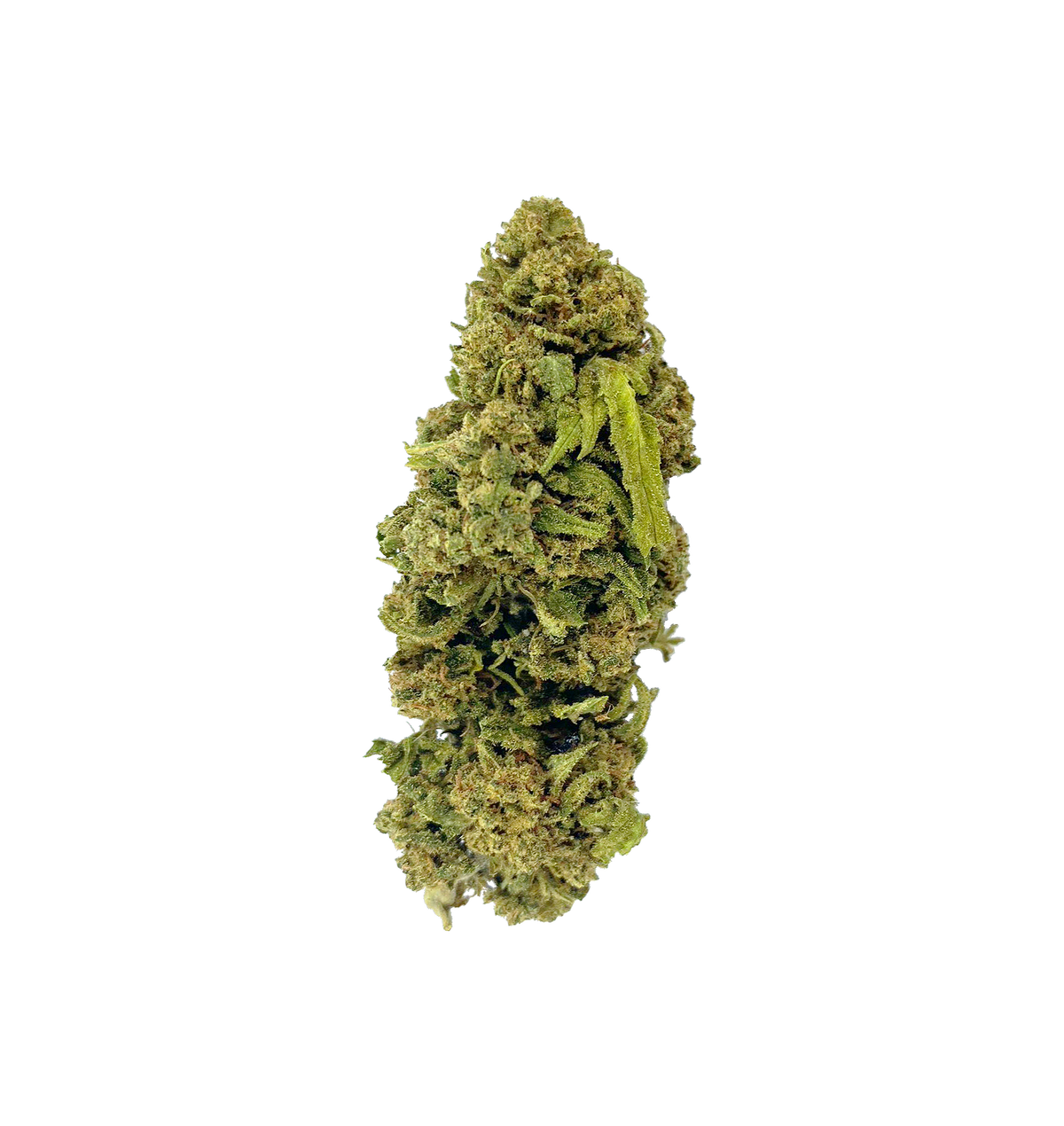 Wolverine OG - CBD+