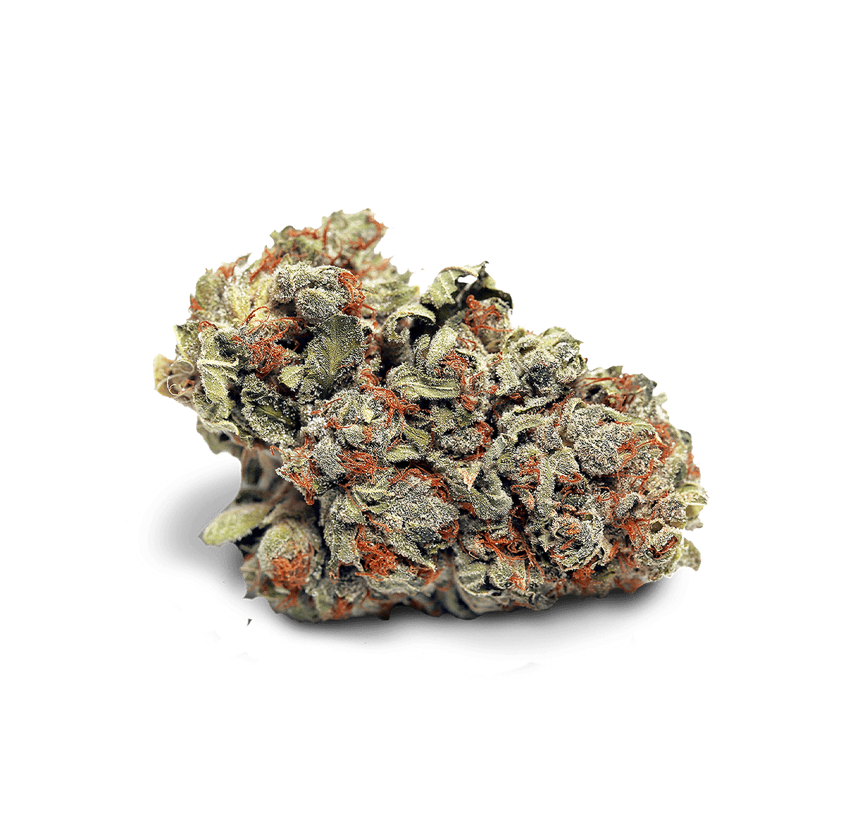 Saphir Kush - Fleur CBD | Tealerlab